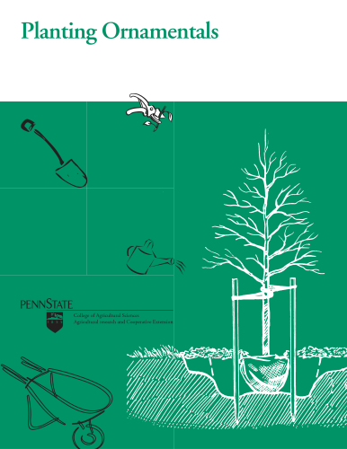 thumbnail of planting-ornamentals